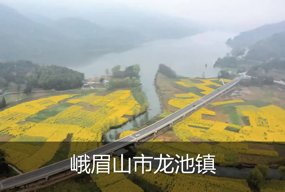 峨眉山市龙池镇