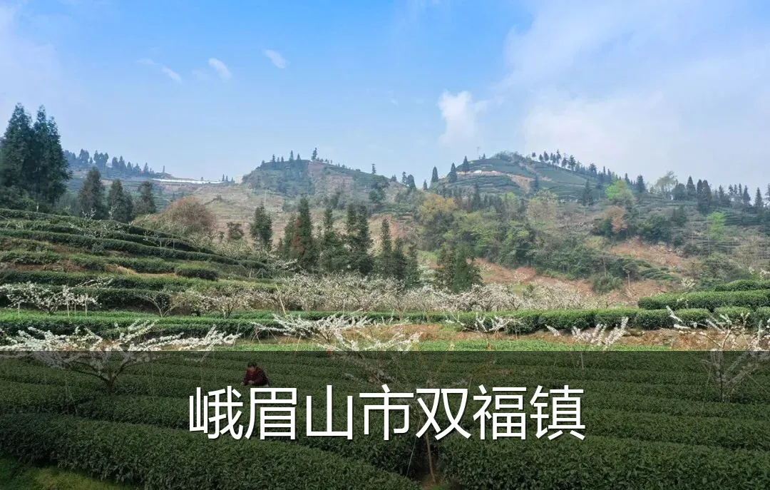 峨眉山市双福镇